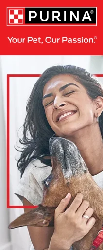 Oferta especial en alimento Purina Dog Chow para perros