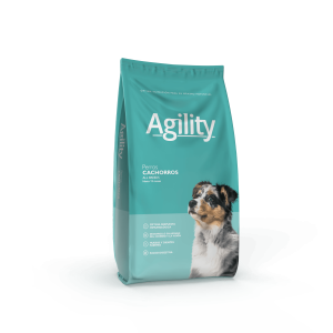 Agility Perro Cachorro