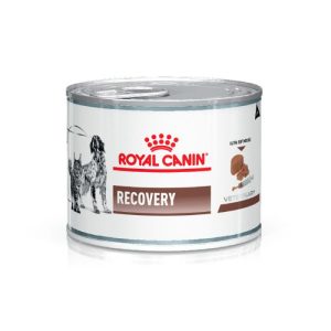 Royal Canin Recovery húmedo