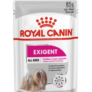 Royal Canin exigent húmedo