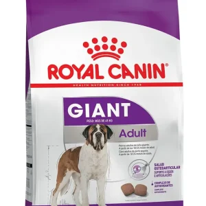 Royal Canin giant adult