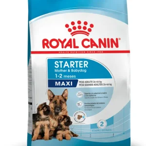 Royal Canin starter maxi
