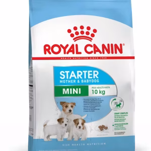Royal Canin starter mini