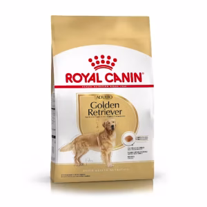 Royal Canin golden retriever adulto