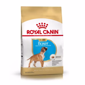 Royal Canin boxer puppy