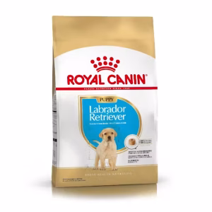 Royal Canin labrador retriever puppy