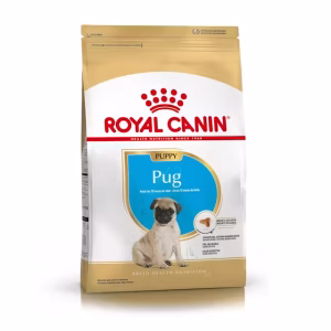 Royal Canin pug puppy