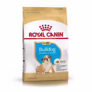 Royal Canin bulldog puppy