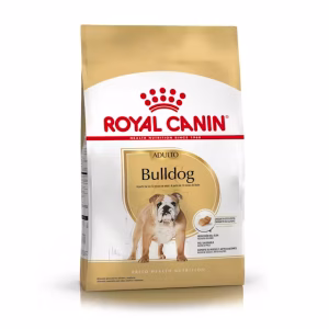 Royal Canin bulldog adulto