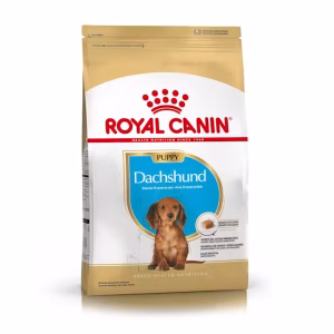 Royal Canin dachshund puppy