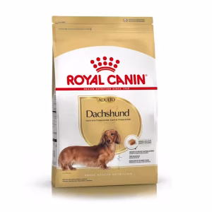 Royal Canin dachshund adulto