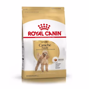 Royal Canin poodle caniche adulto