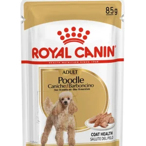 Royal Canin poodle húmedo