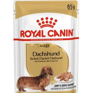 Royal Canin dachshund húmedo