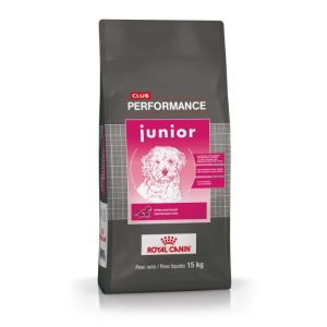 Club Performance dog junior