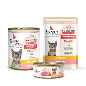 Sieger Katze Kitten Pollo Húmedo