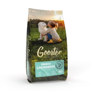 Gooster Perro Cachorro