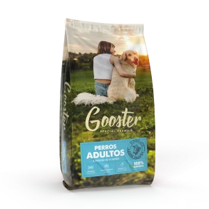 Gooster Perro Adulto