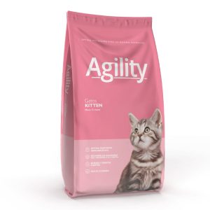 Agility Cats Kitten