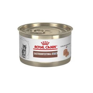 Royal Canin gastro kitten mousse
