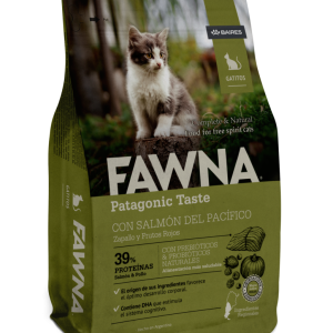 Fawna gato cachorro kitten