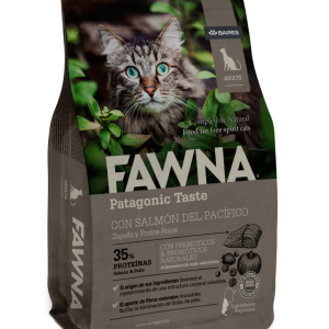 Fawna gato adulto