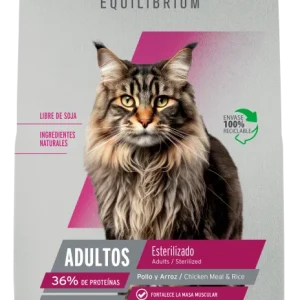 Old Prince Equilibrium gatos gatos de interior