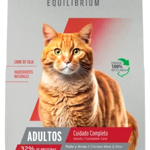 Old Prince Equilibrium gatos gatos cuidado completo