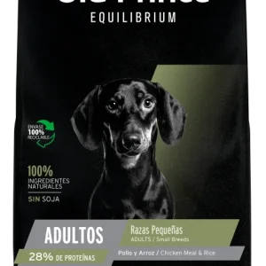 Old Prince Equilibrium small perro adulto raza pequeña