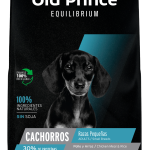 Old Prince Equilibrium small perro cachorro raza pequeña