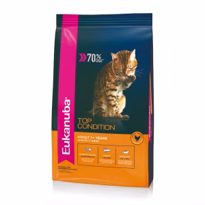 Eukanuba gato adulto