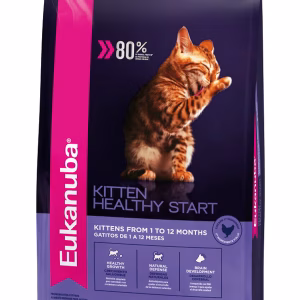 Eukanuba gatos gato cachorro kitten